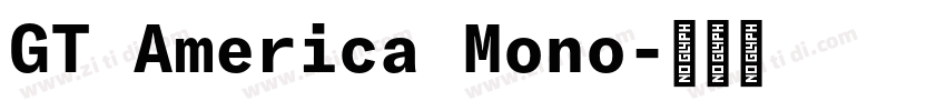 GT America Mono字体转换